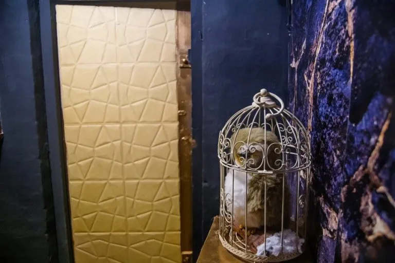 Wizard World escape room