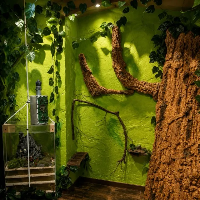 The enchanted forest – Wizard World escape room
