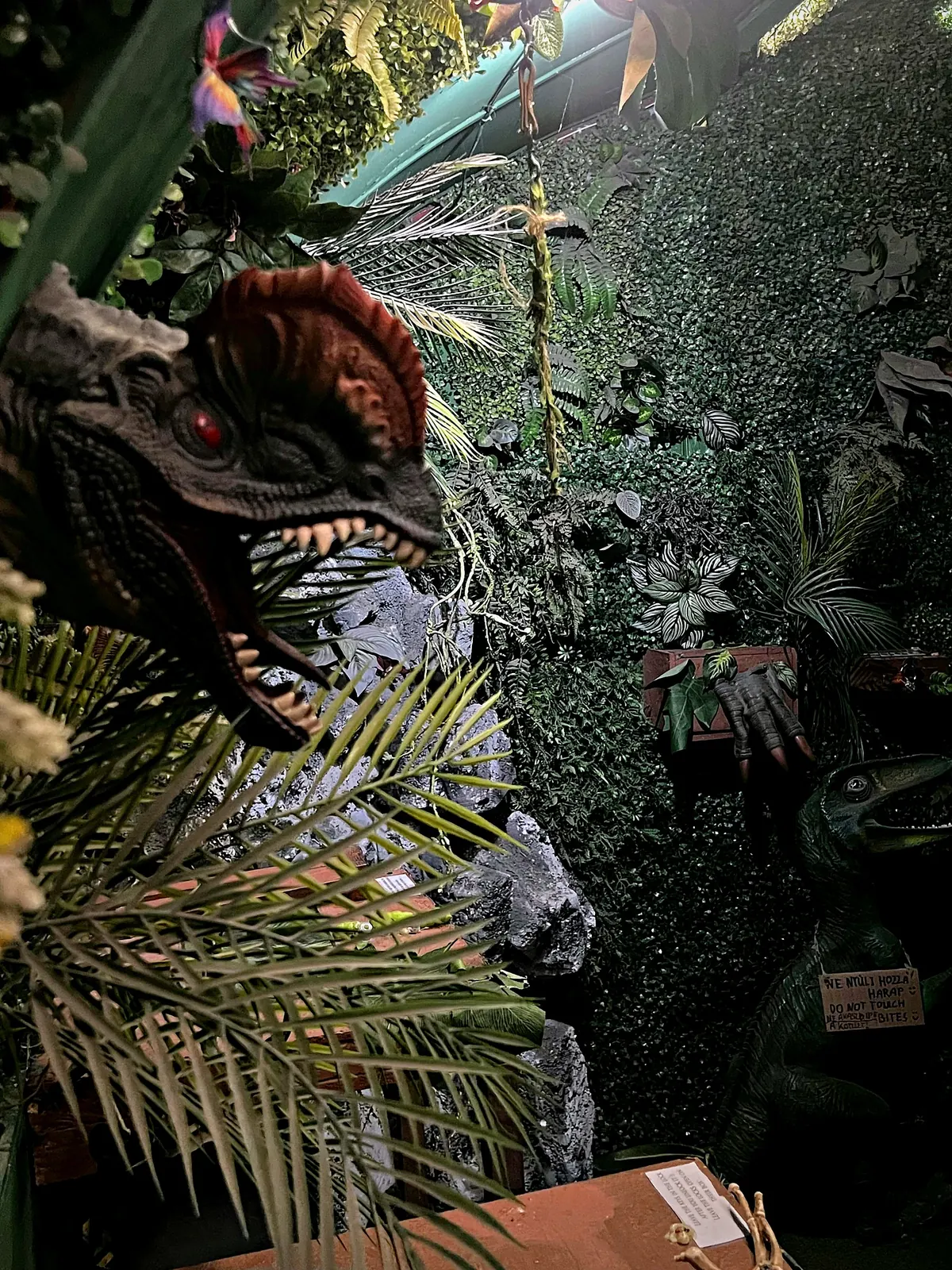 Dilophosaurus a Jurassic Escape dínós szabadulószobában, Budapest