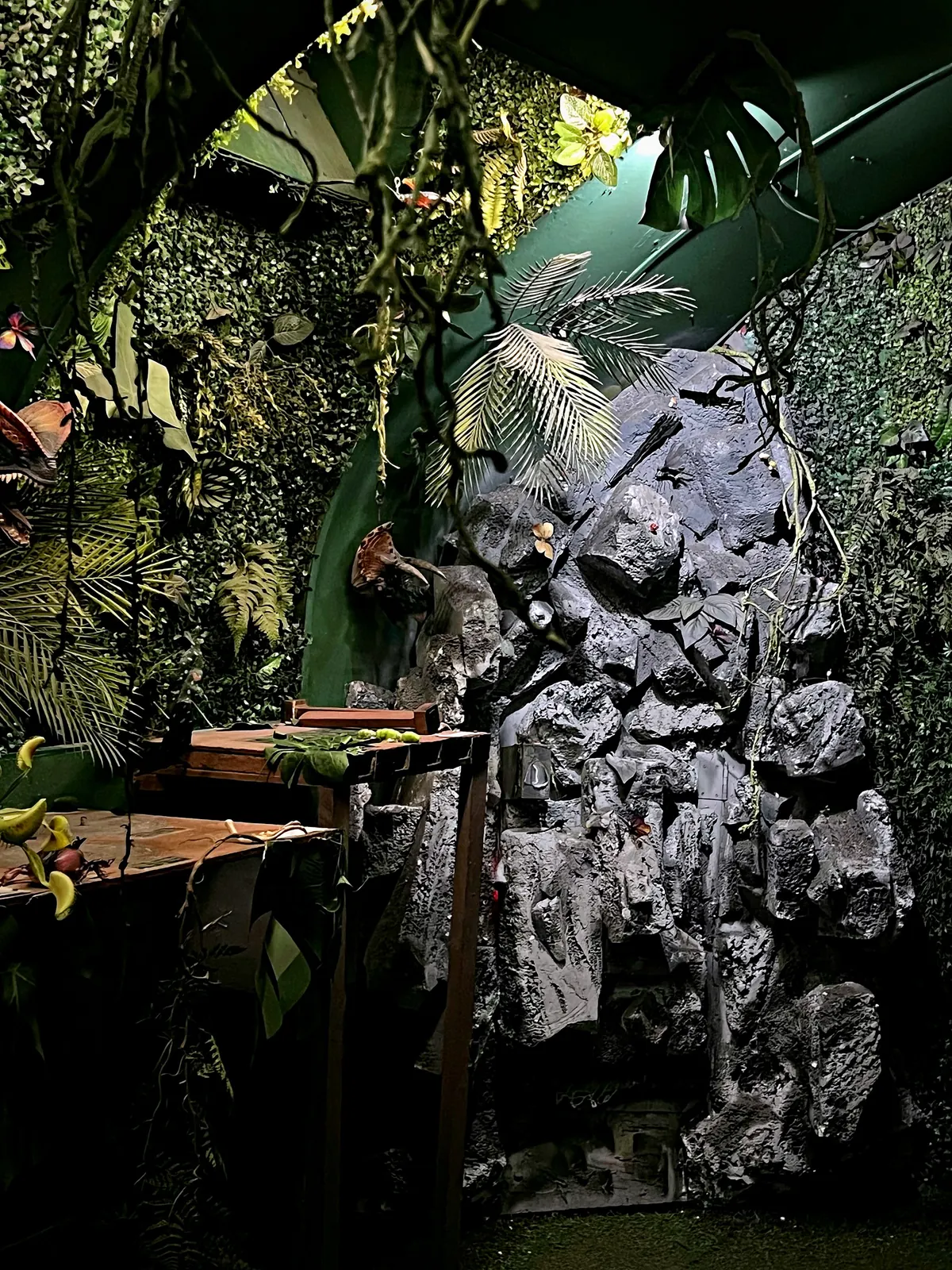 Dzsungel és sziklafal a Jurassic Escape szabadulószobában, Budapest